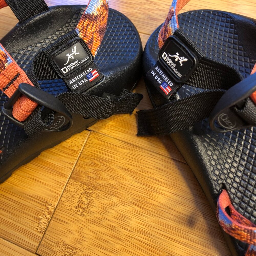 Chaco Z/2 Adjustable Cloud Sandals 9 Limited Edition National Park Foundation - Picture 11 of 11